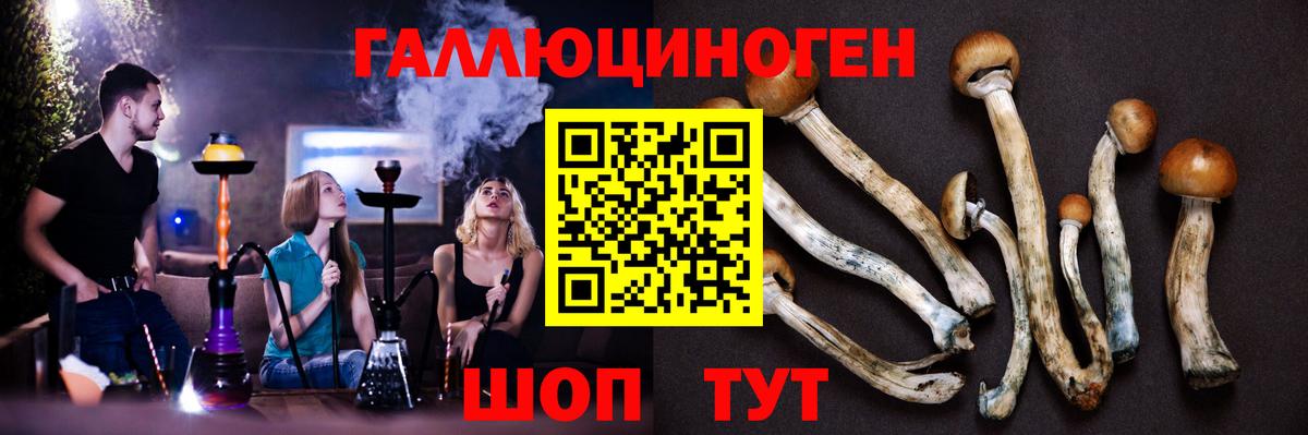 Галлюциногенные грибы MAGIC MUSHROOMS Апшеронск