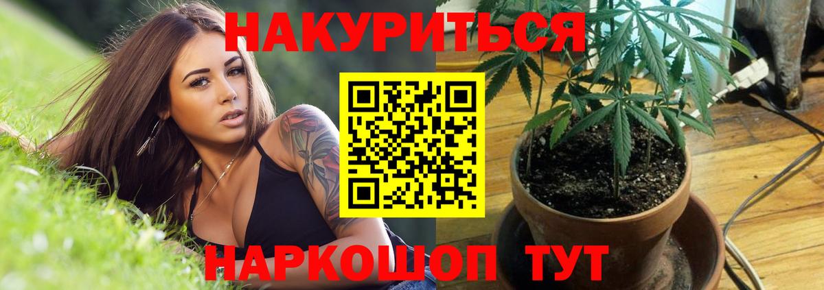 Каннабис Bruce Banner Апшеронск